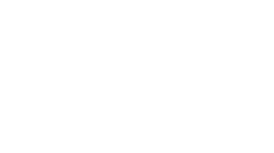 100dwiches